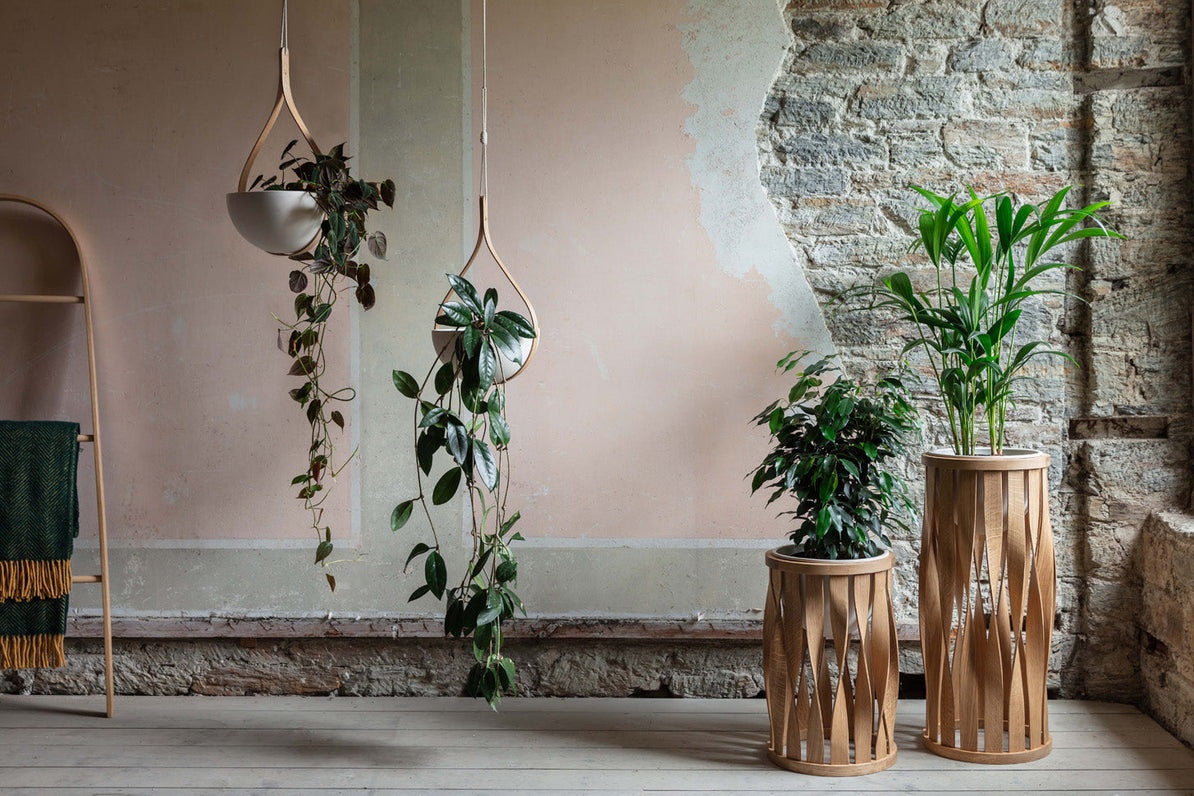 Winter Greens: Plant Care