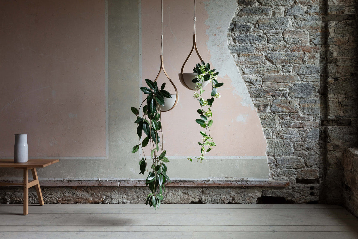 2019 Trends: Green Living