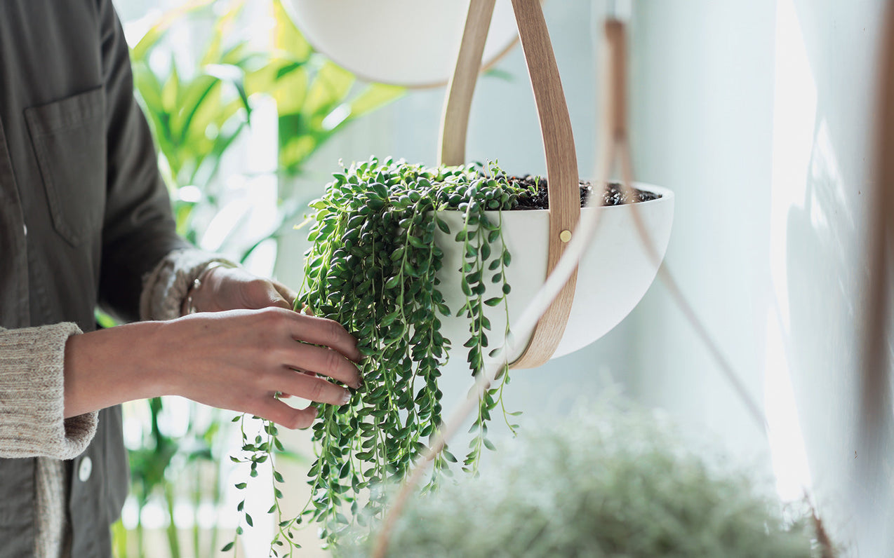 Greener On The Inside