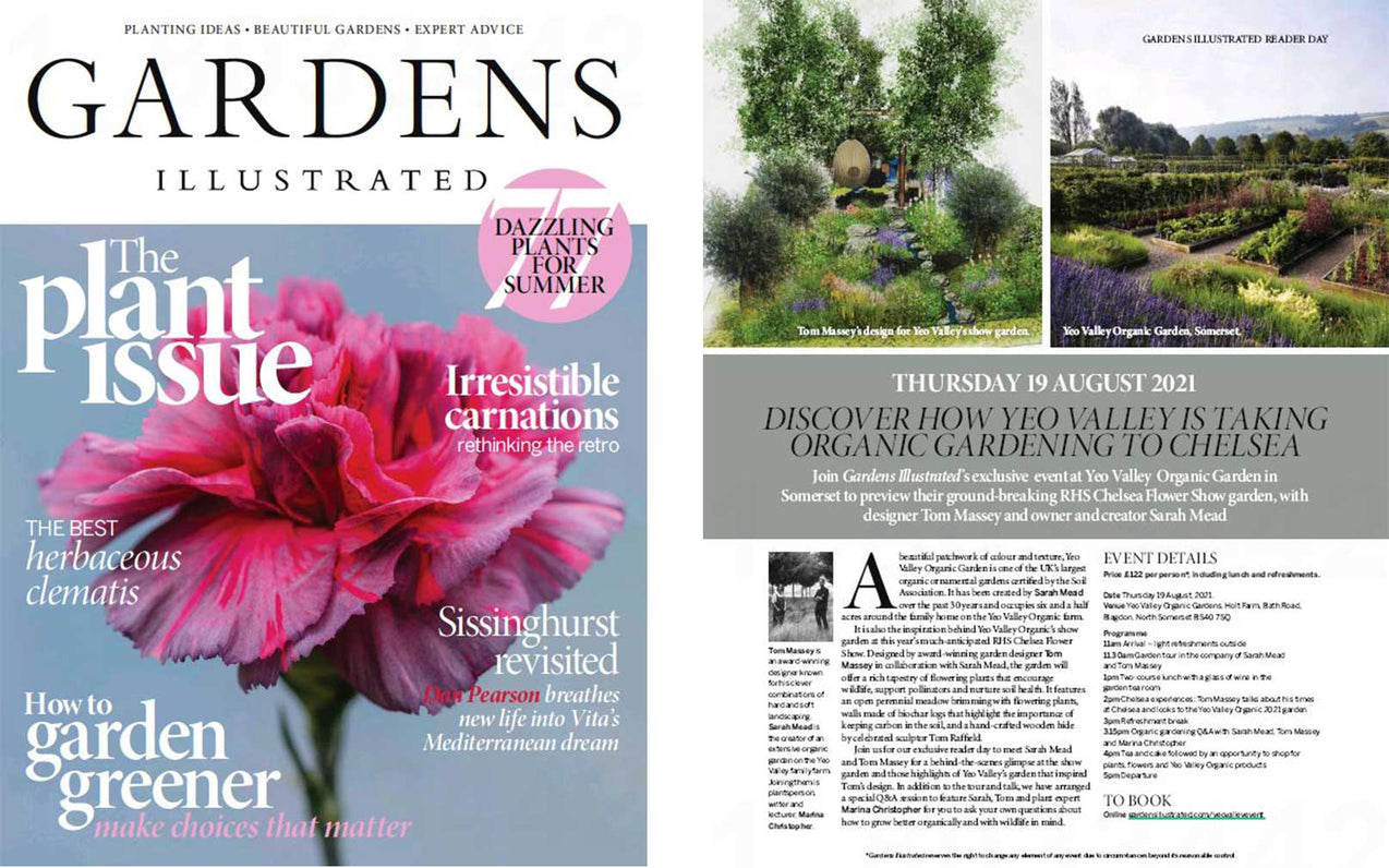 Gardens Illustrated: Steam Bent Egg for Yeo Valley