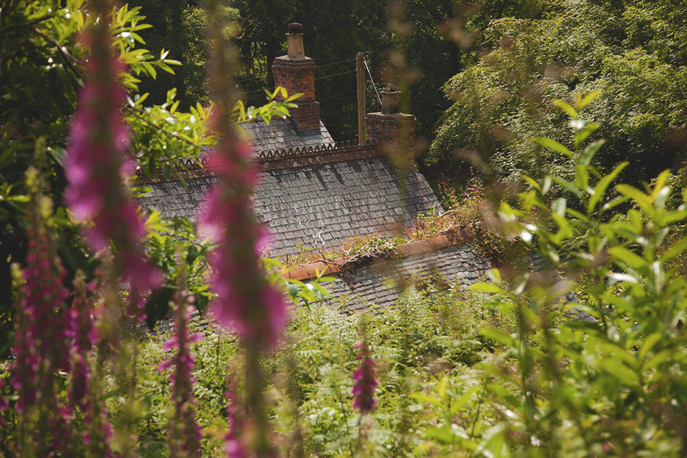 Proudly supporting - Earth Day 2020