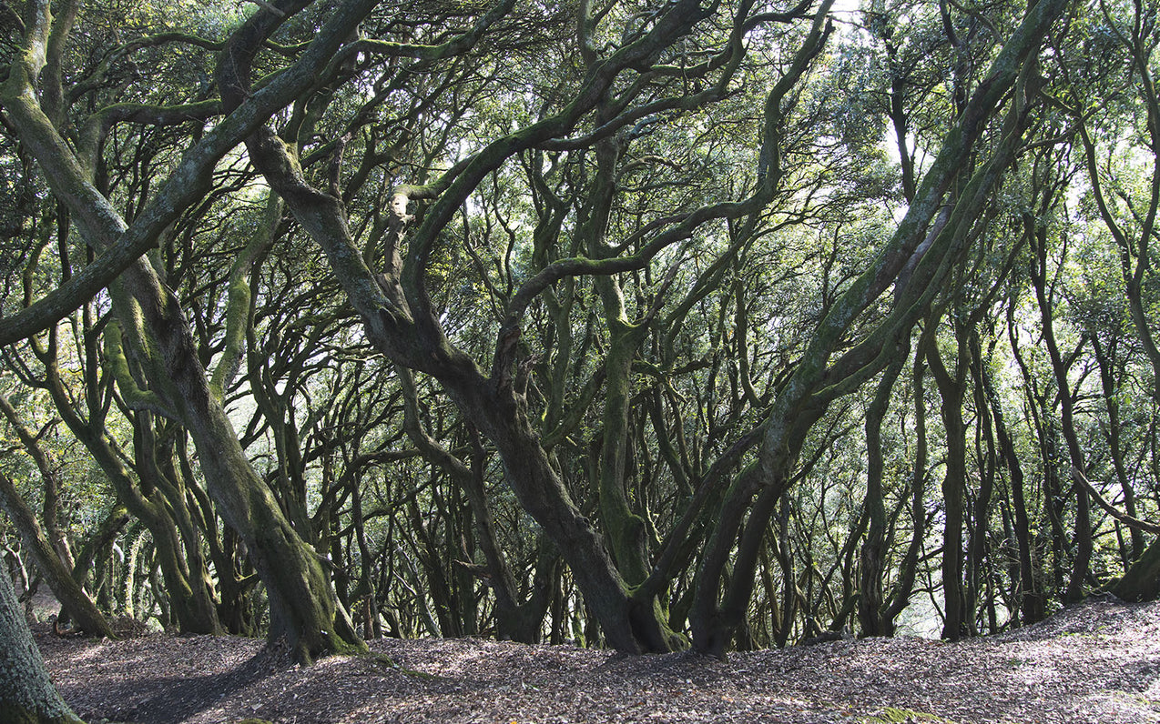 Buy less…care more!