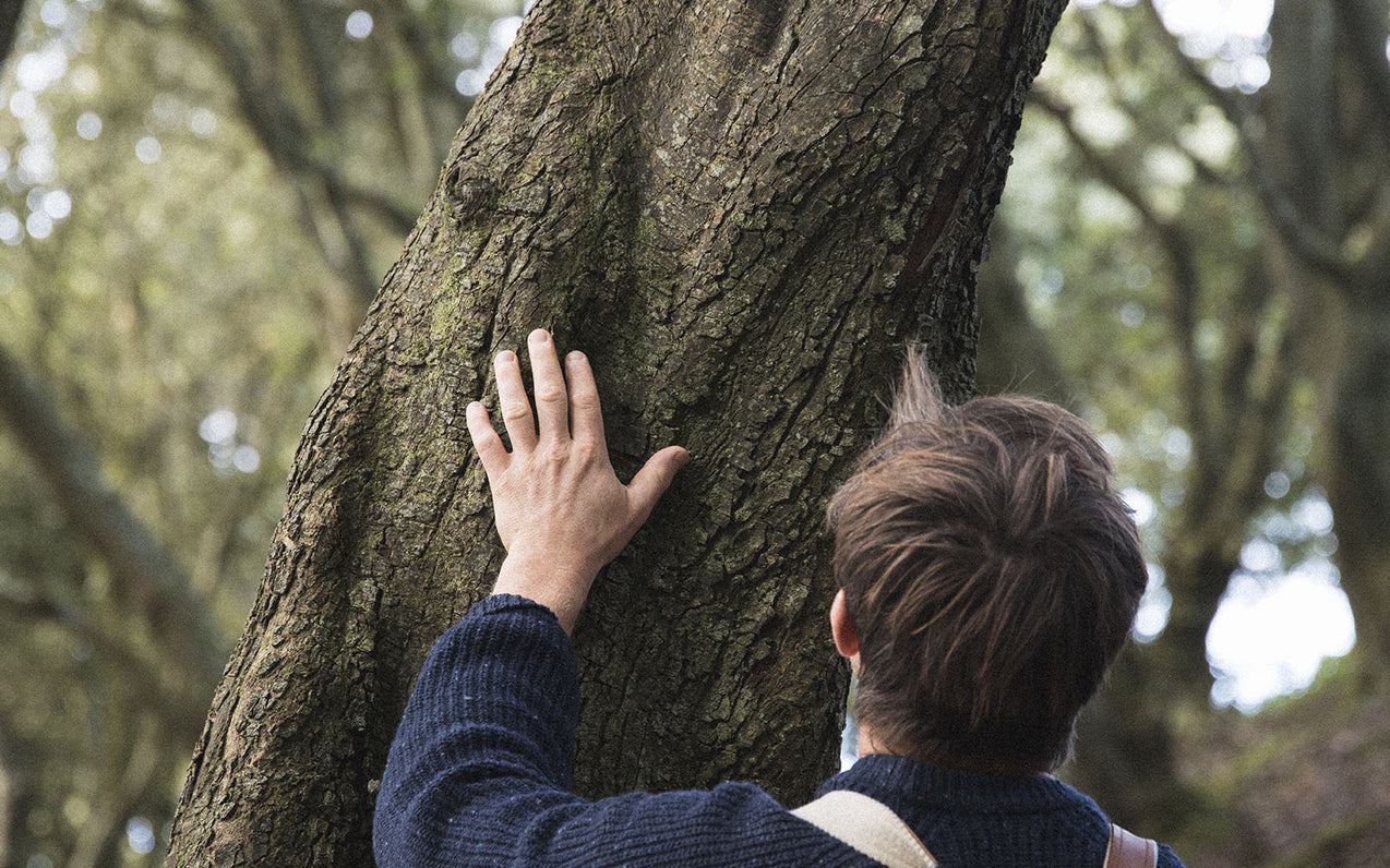 The Cost of Black Friday