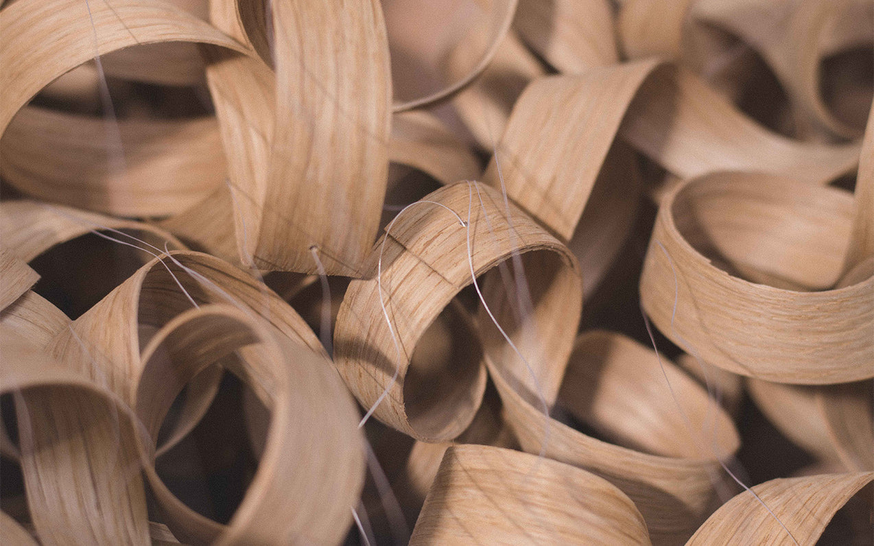 Rooted in Sustainability