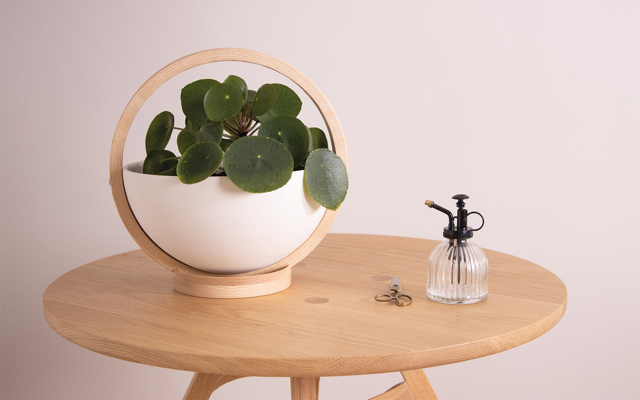 Tom Raffield’s Growing Green Range