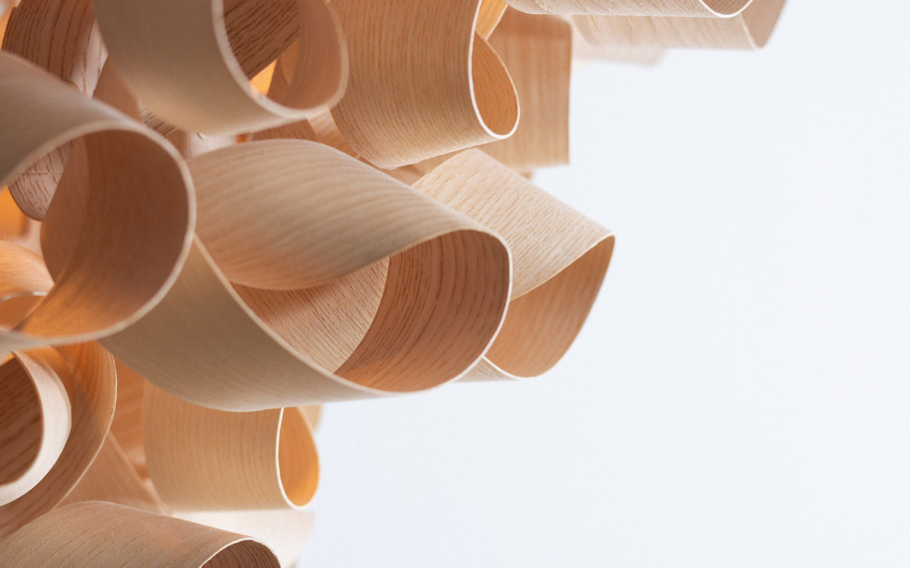 The Beauty of Ash Wood