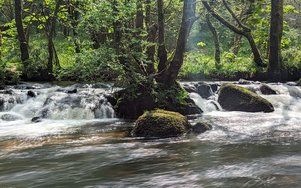 Tom Raffield Summer 2024 Team Diary