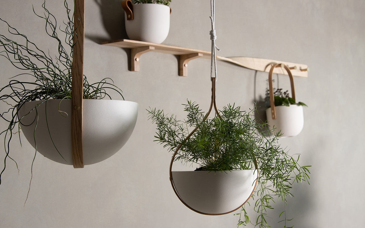 Transform your bedroom into a jungle