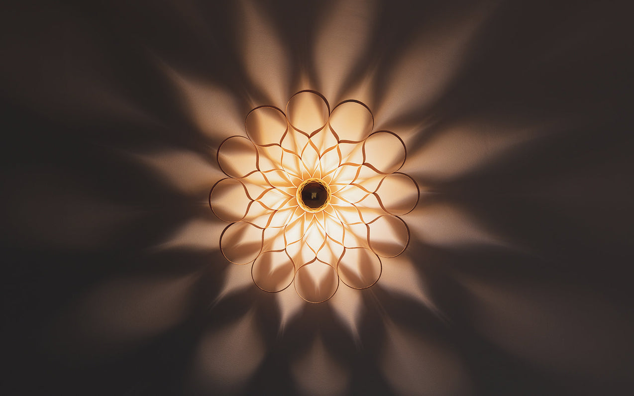 Spotlight On: Arame Wall Light