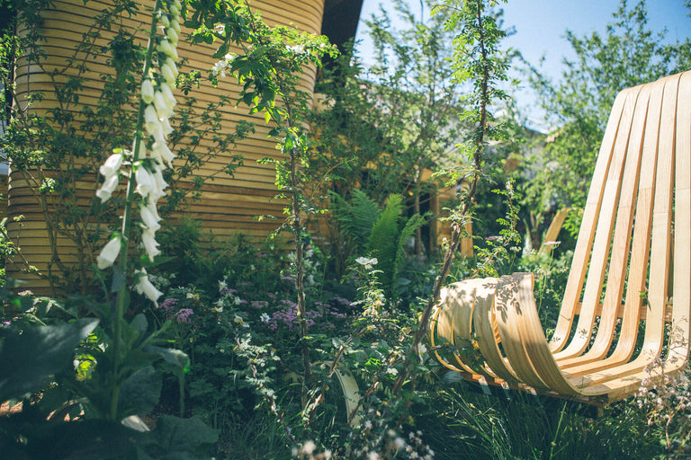 RHS Chelsea Flower Show 2020: John Ward Planting Scheme Q&A