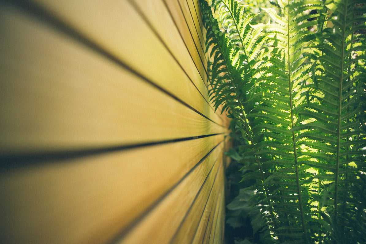 Our Chelsea Flower Show Garden