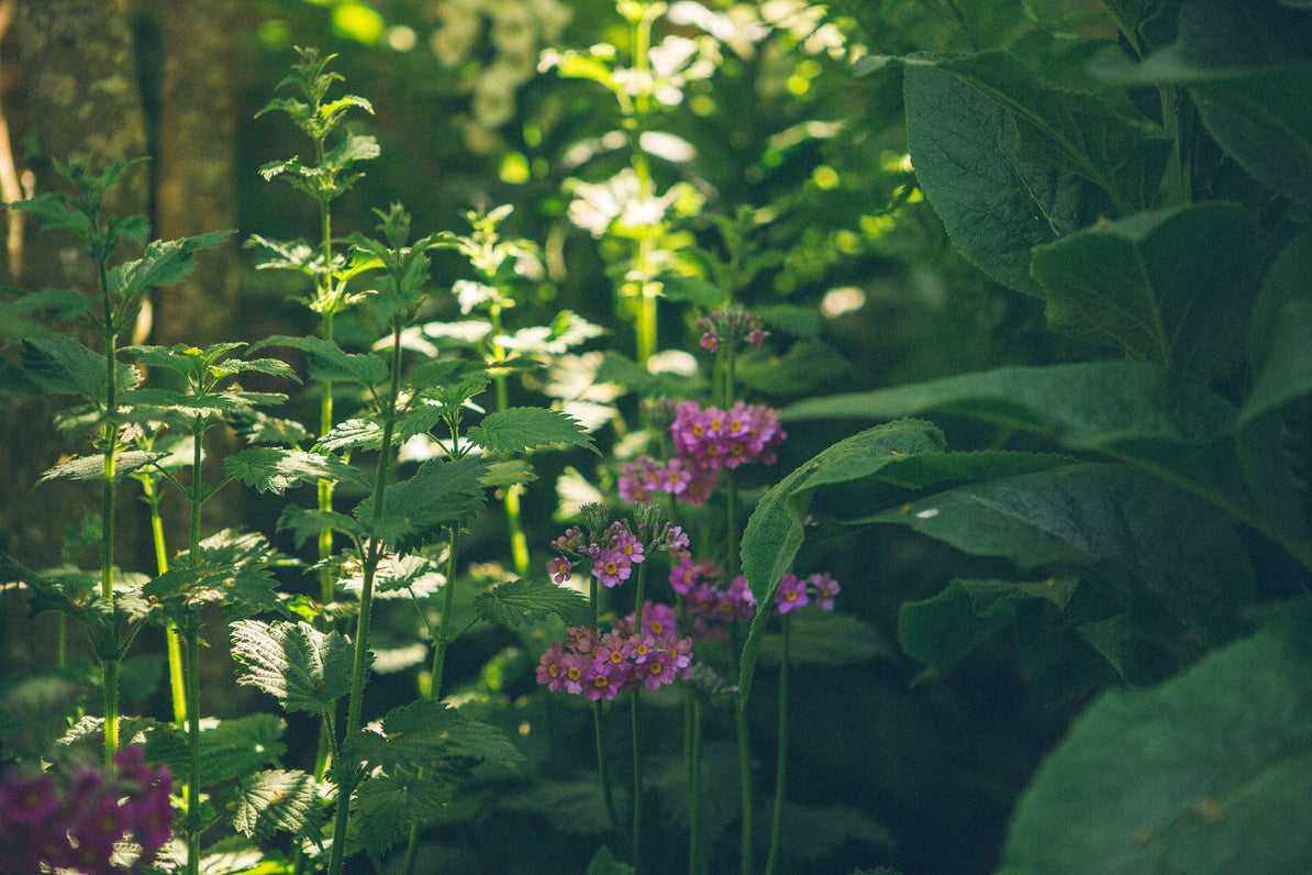 Six Ways to be More Sustainable this Summer