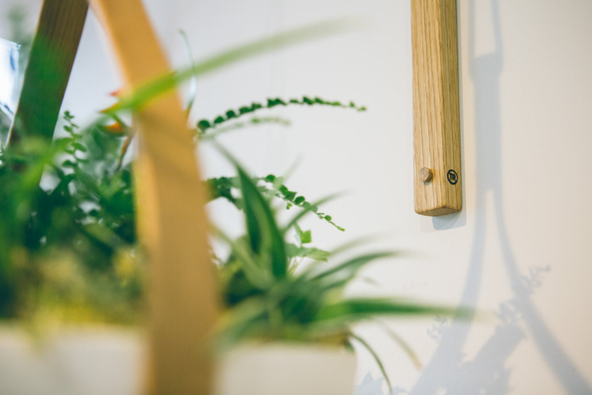 Summer Updates: Ahead of the Curve