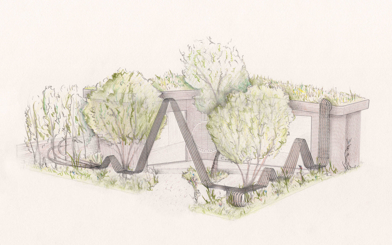 Growing our Chelsea Flower Show Pavilion Garden