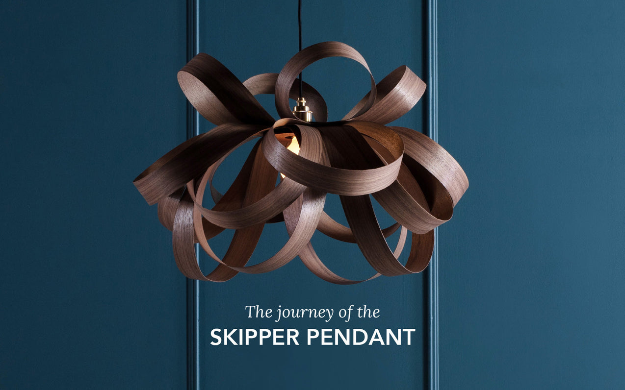 The Journey of a Skipper Light
