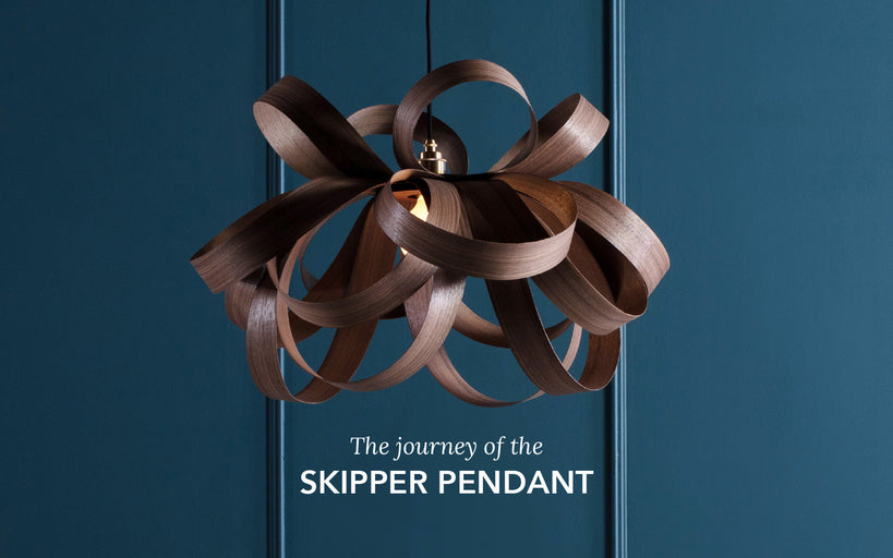 The Journey of a Skipper Light
