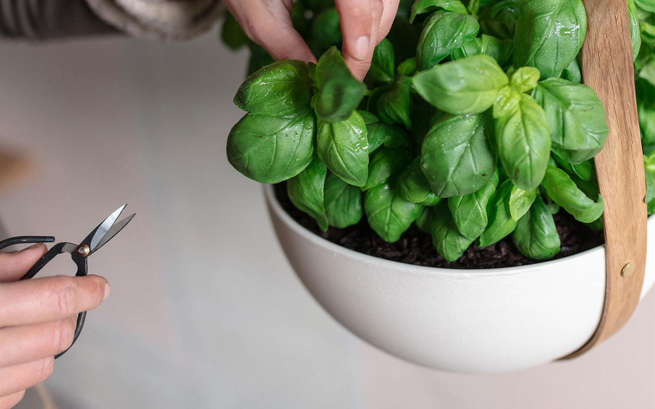 Five Tips for a More Sustainable Summer