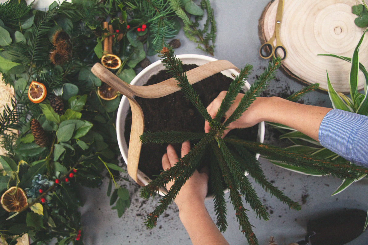 How to: Create a festive hanging planter