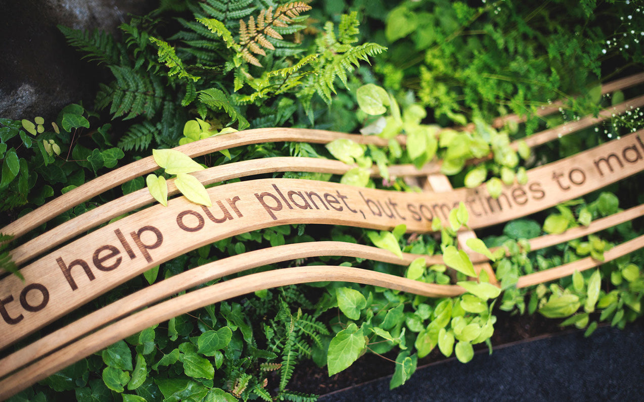 A Commission For RHS Hampton Court Palace x Smart Meter Garden