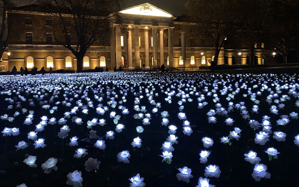 Team Diary: Winter 2025