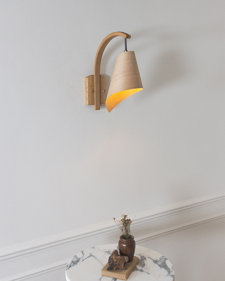 Plug & Switch Wall Lights