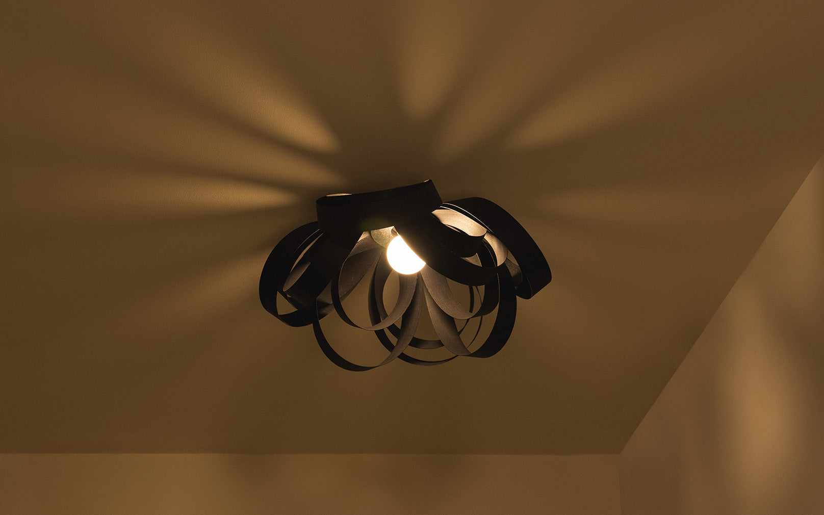 Noctis Skipper Flush Ceiling Light