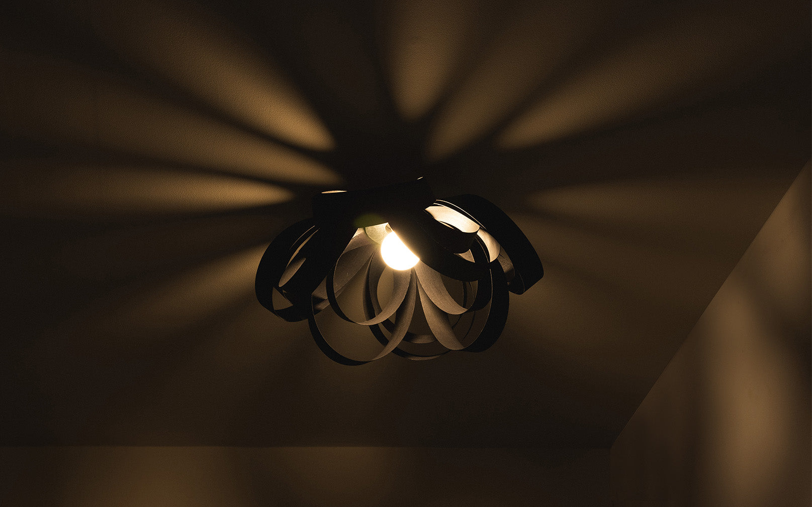 Noctis Skipper Flush Ceiling Light