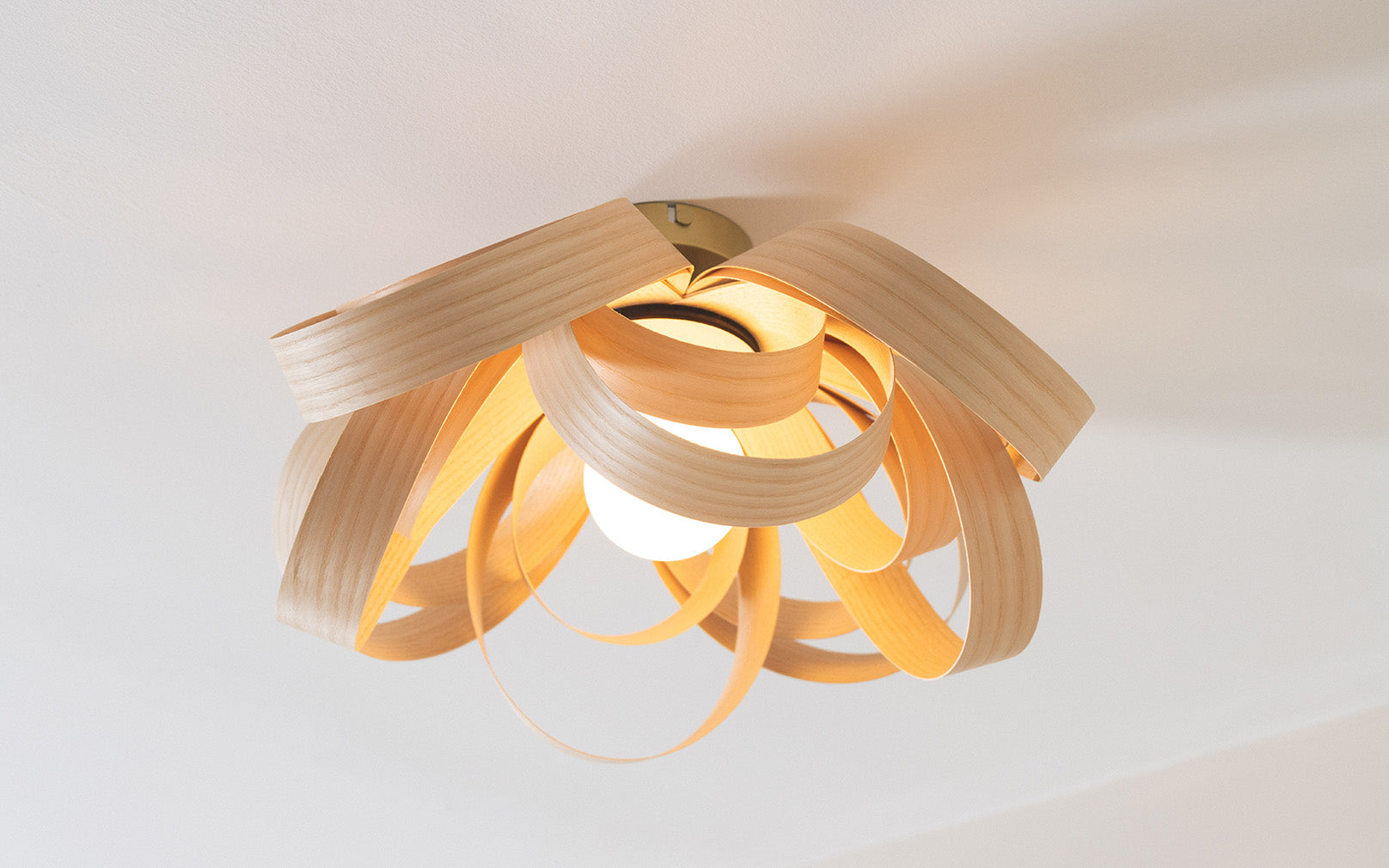 Skipper Small Flush Ceiling Light