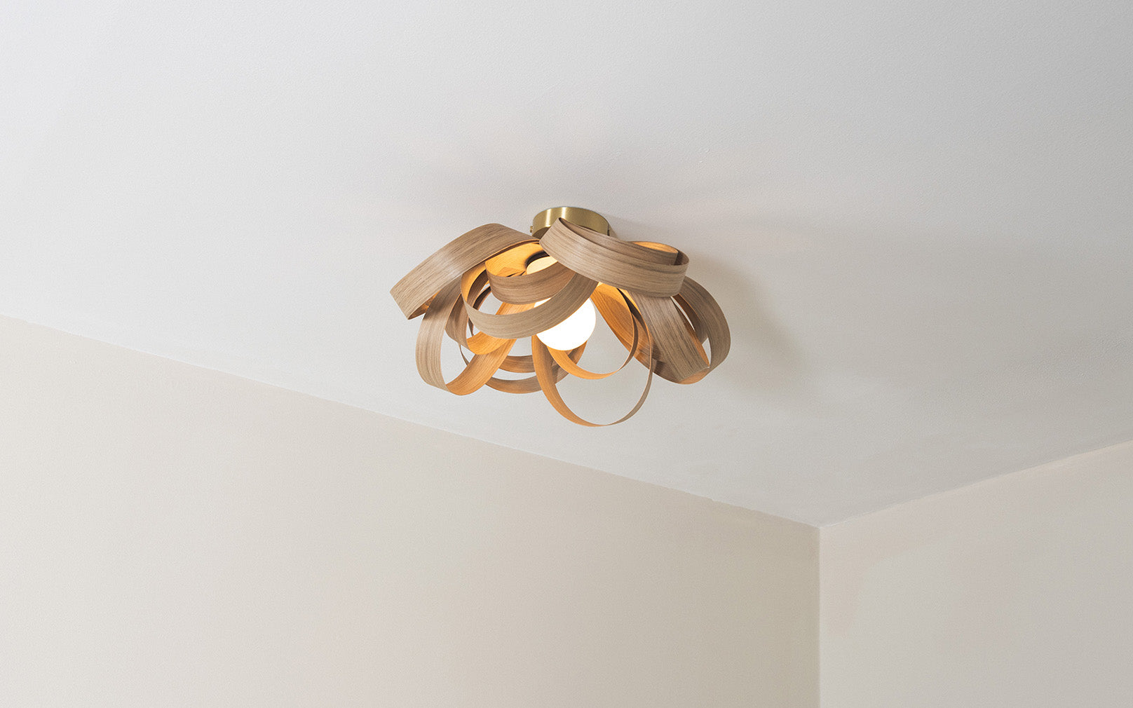 Skipper Small Flush Ceiling Light