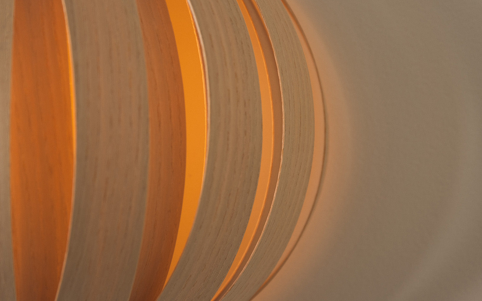 SECONDS - Urchin Wall Light
