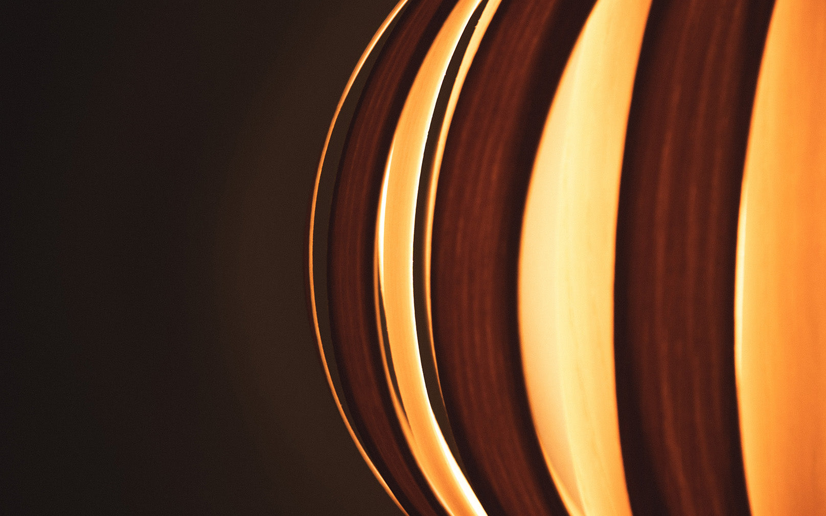 SECONDS - Urchin Wall Light