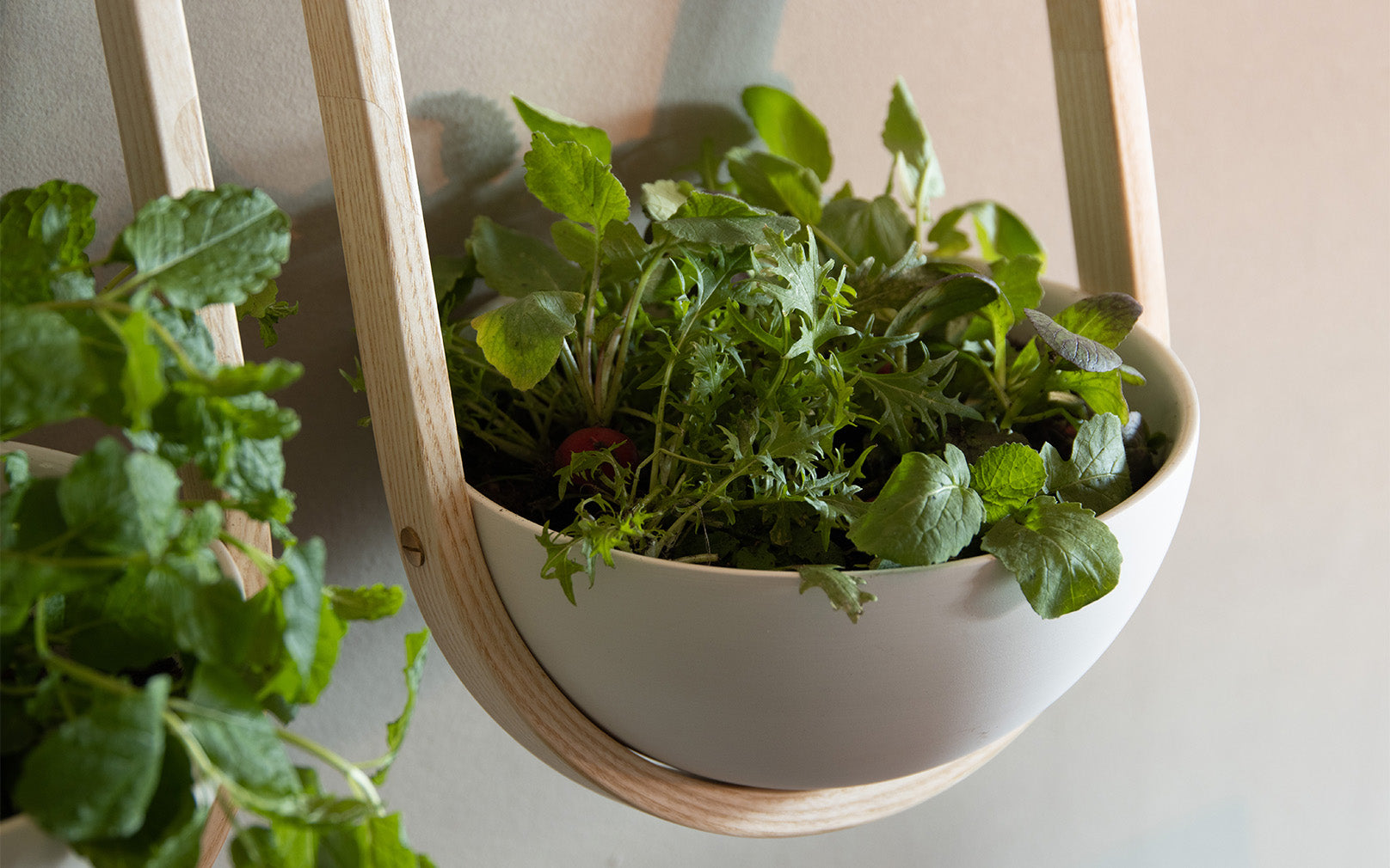 SECONDS - Maya Wall Planter