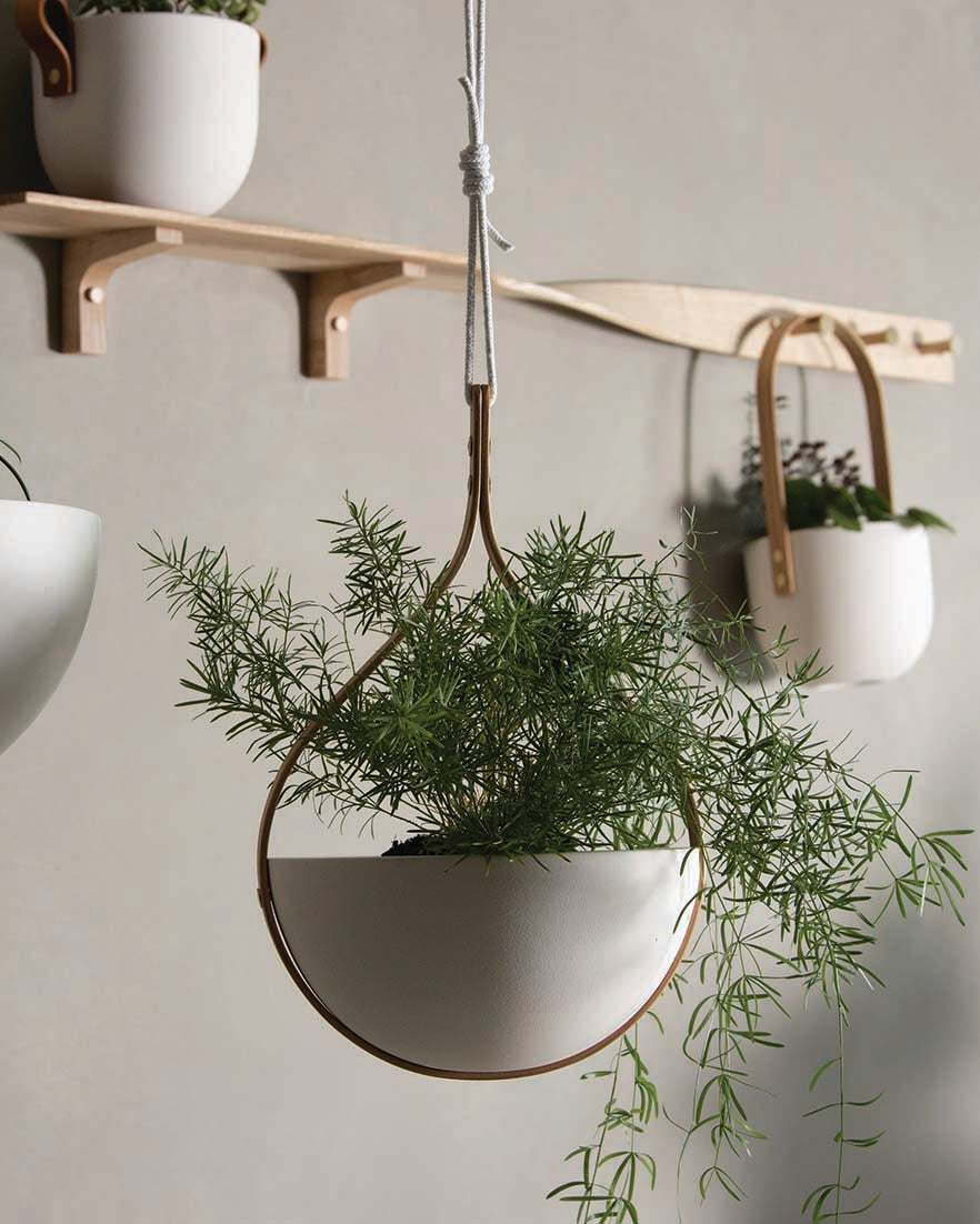 Morvah Ceiling Hanging Planter