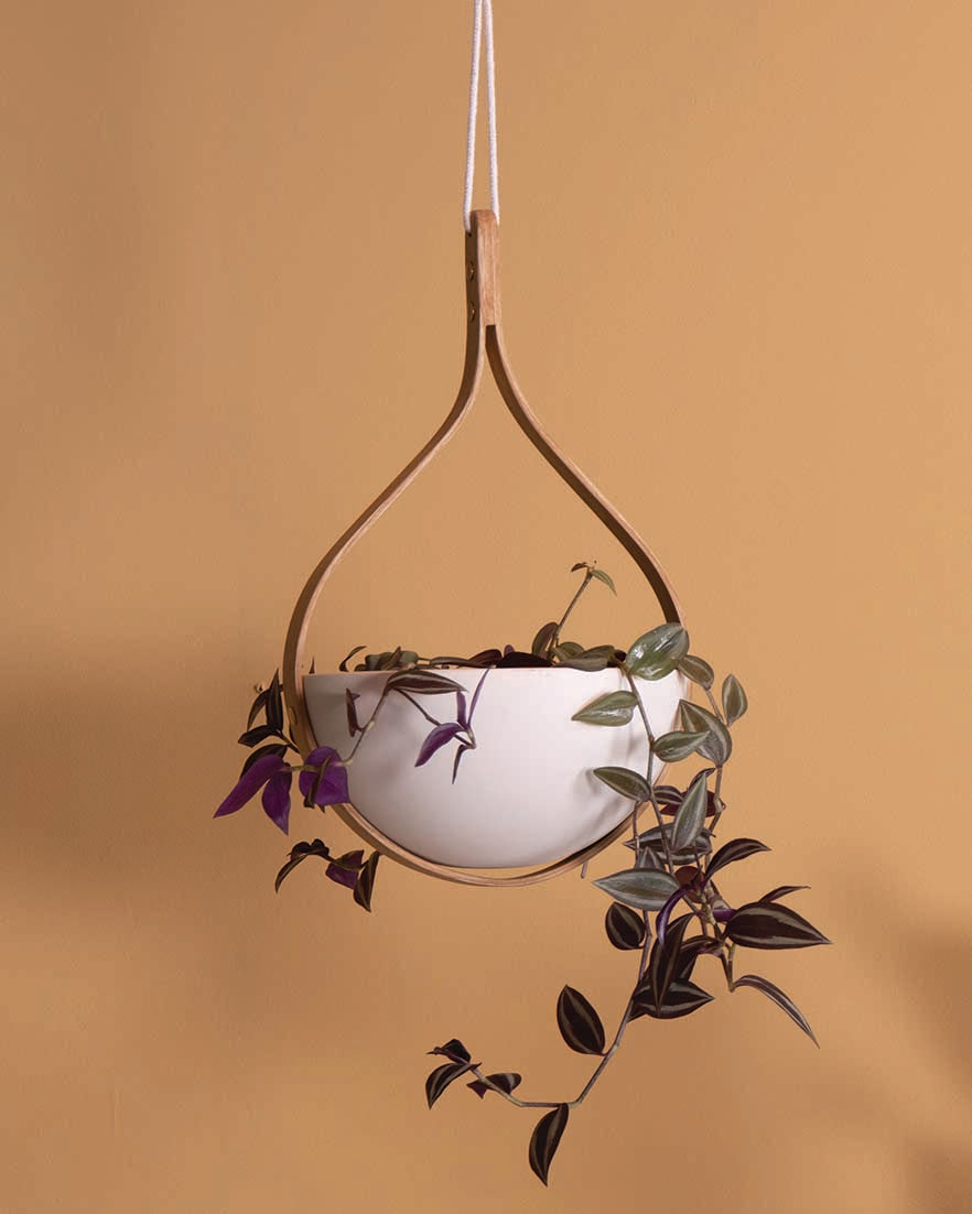 Morvah Small Ceiling Hanging Planter