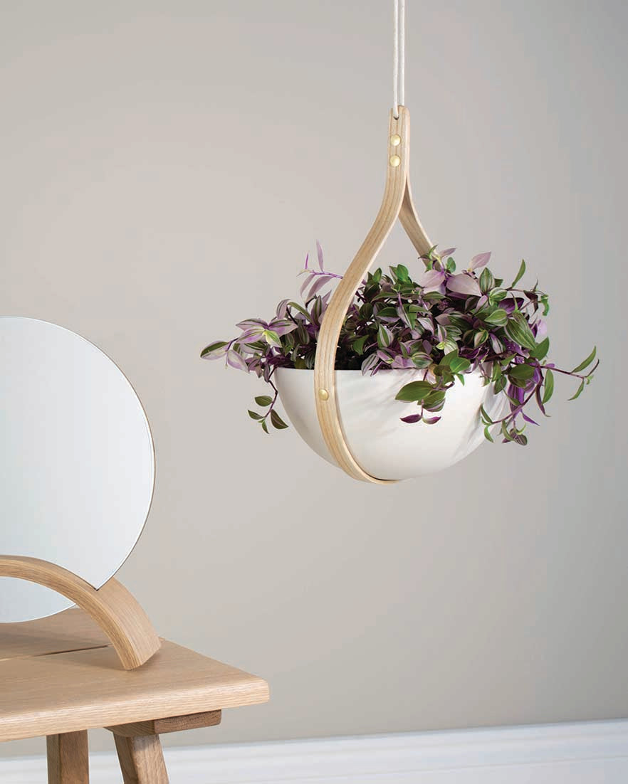 Morvah Small Ceiling Hanging Planter