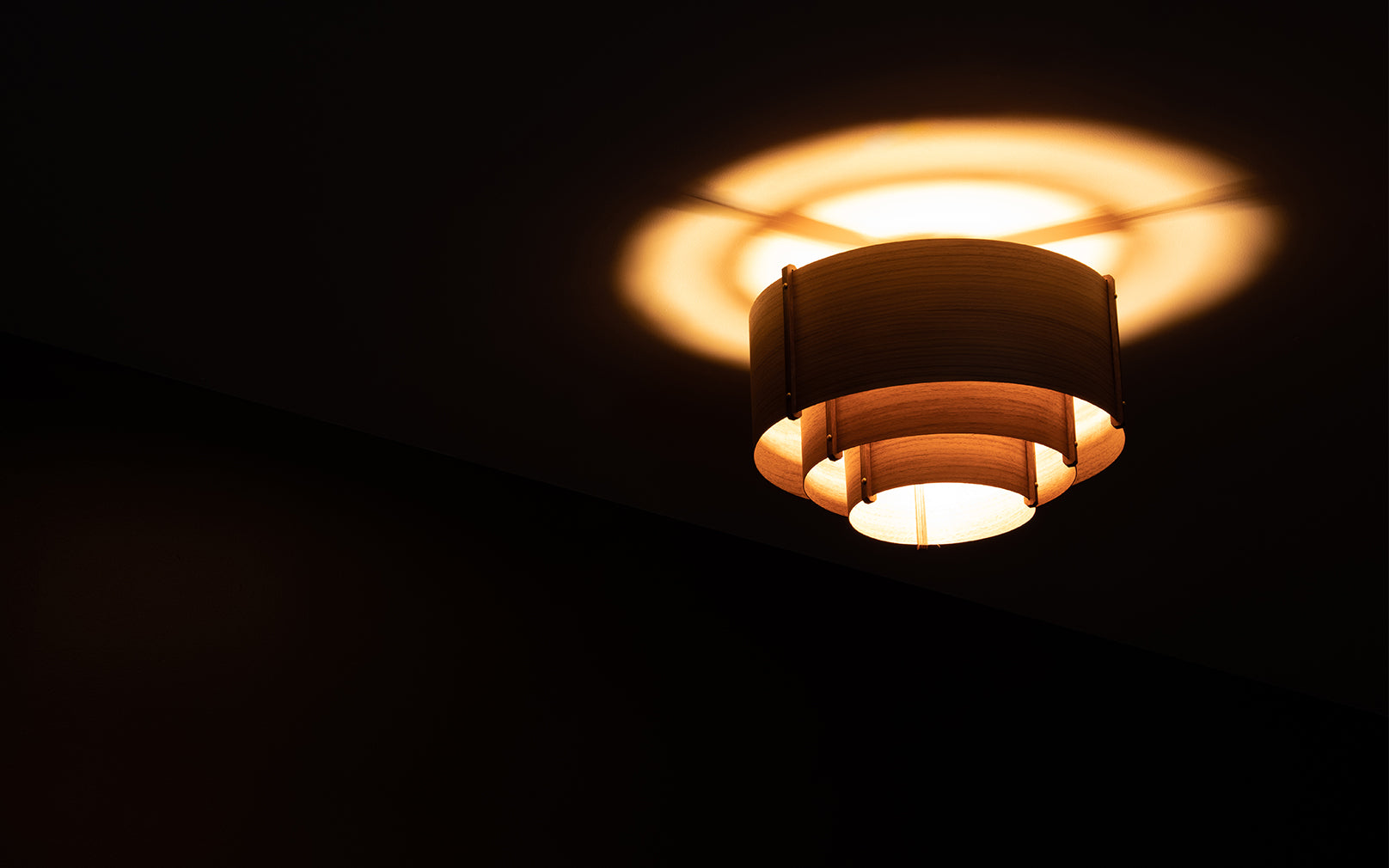 Leven Flush Ceiling Light