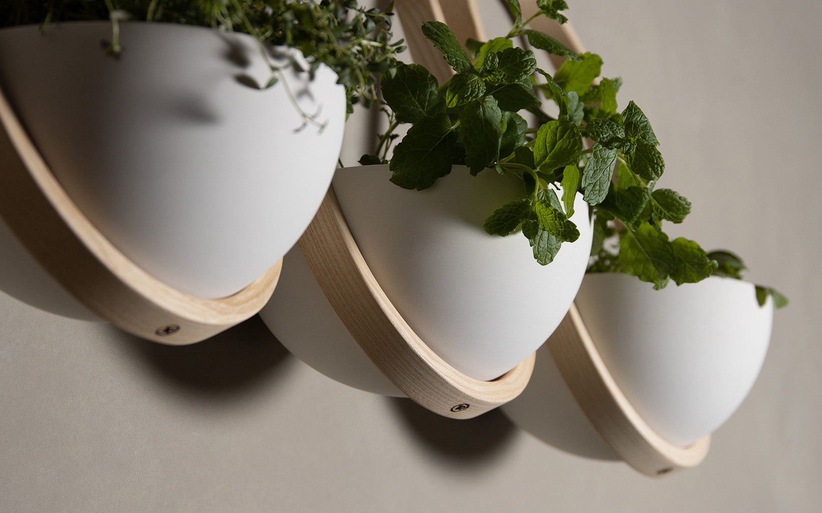 SECONDS - Maya Wall Planter