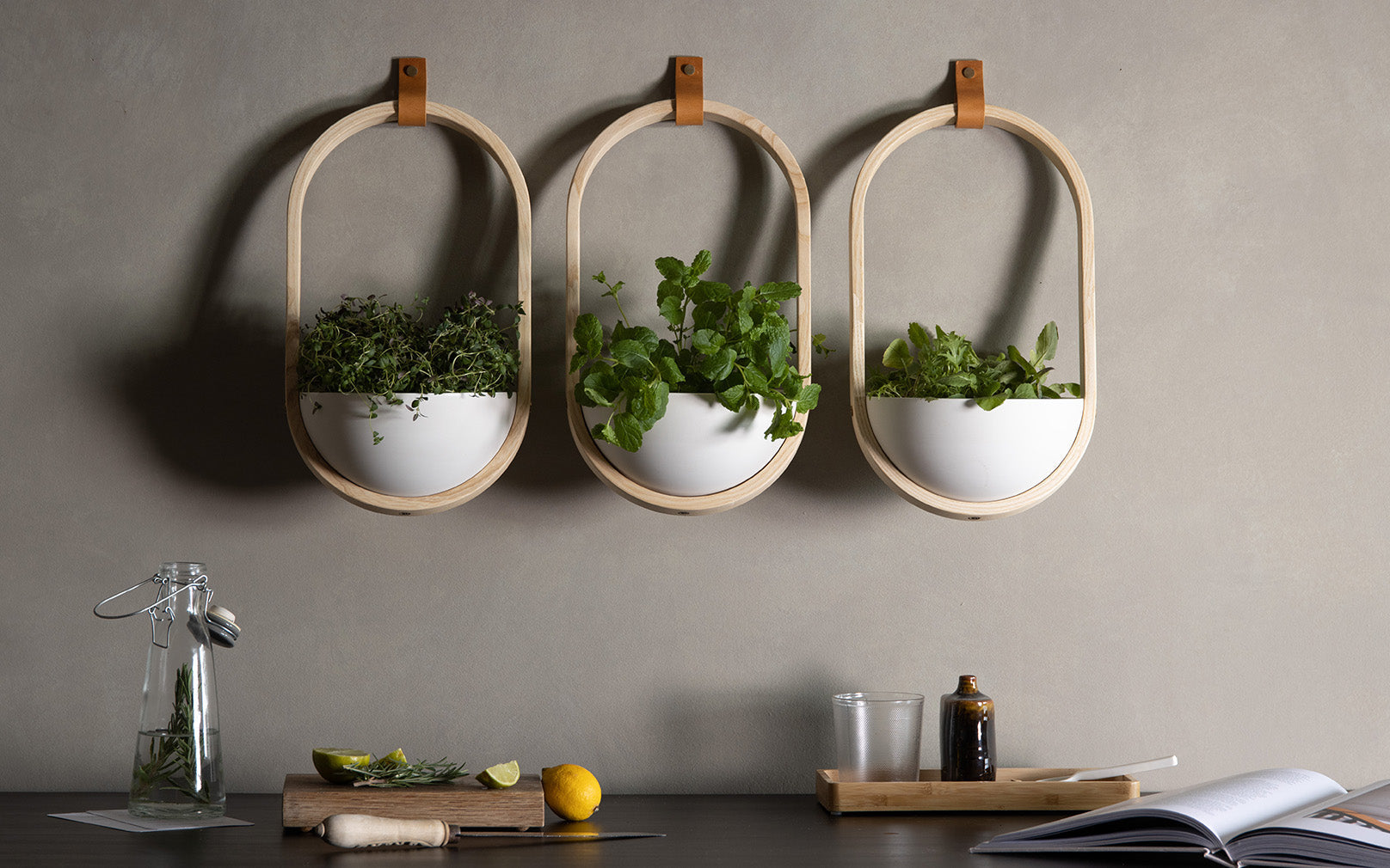 SECONDS - Maya Wall Planter