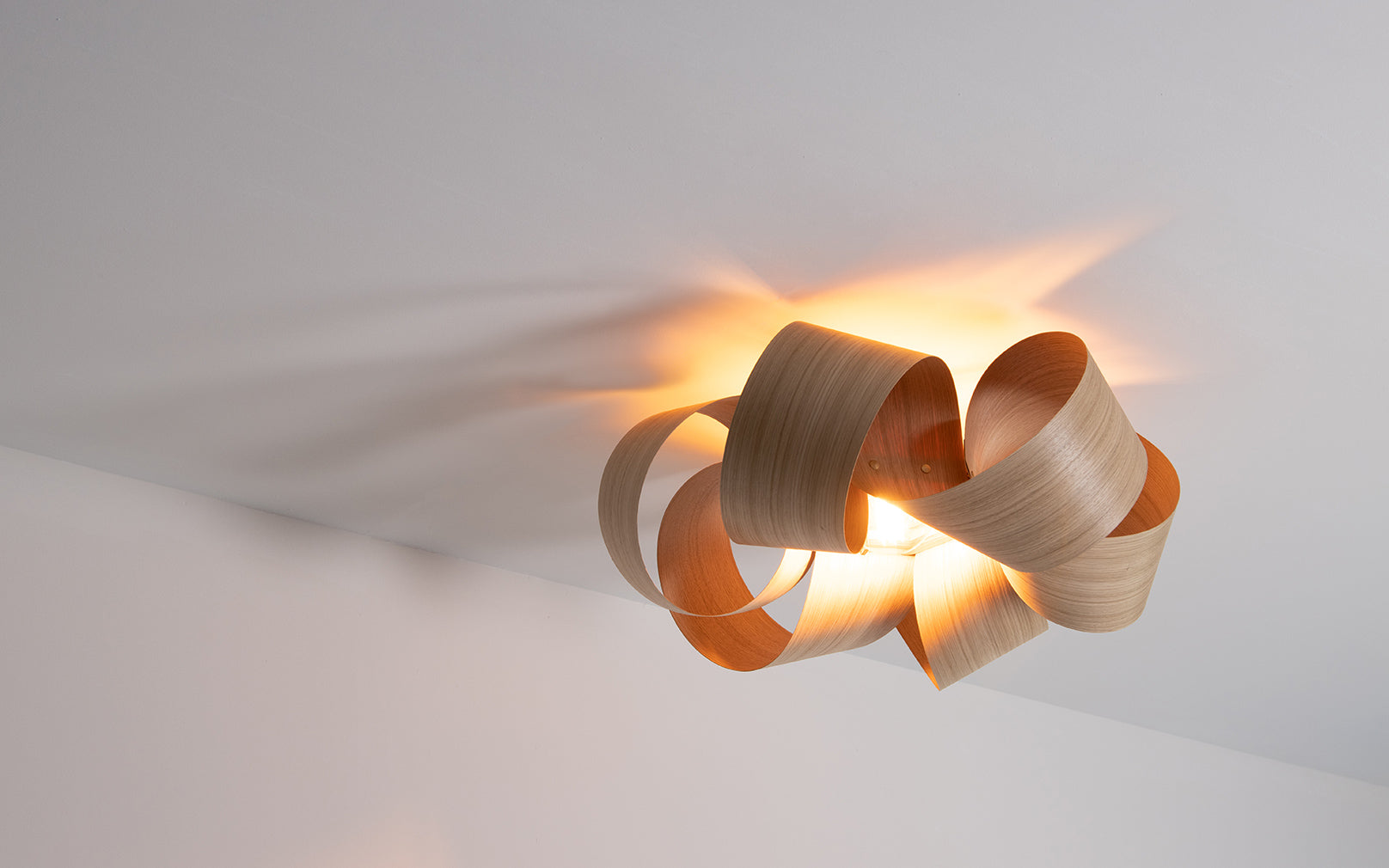 Tom raffield ceiling light online