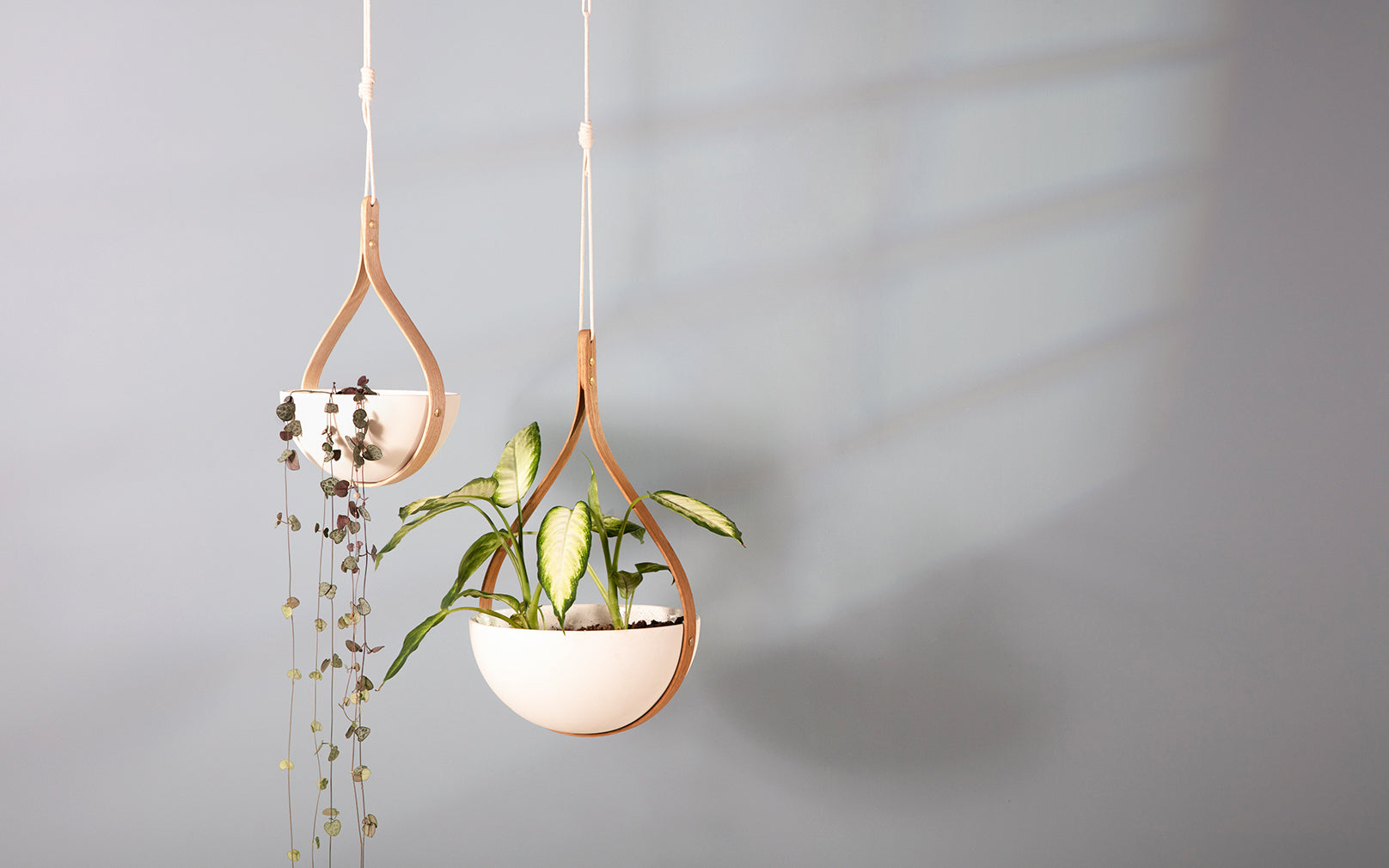 SECONDS - Morvah Small Ceiling Hanging Planter
