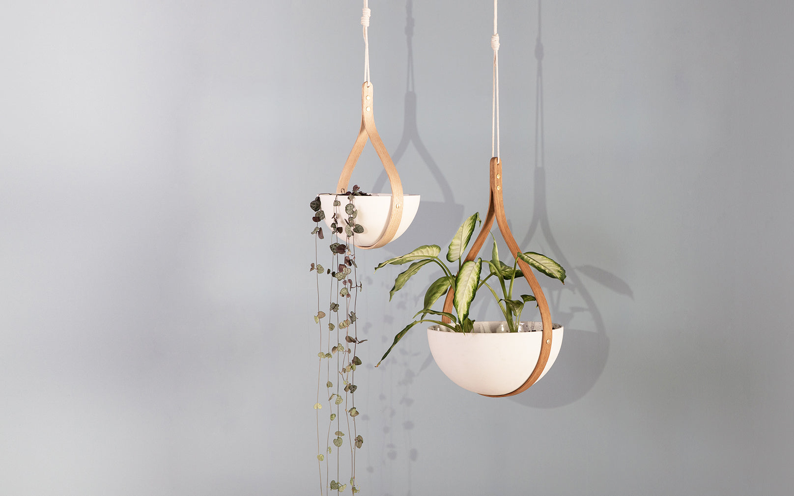 SECONDS - Morvah Small Ceiling Hanging Planter