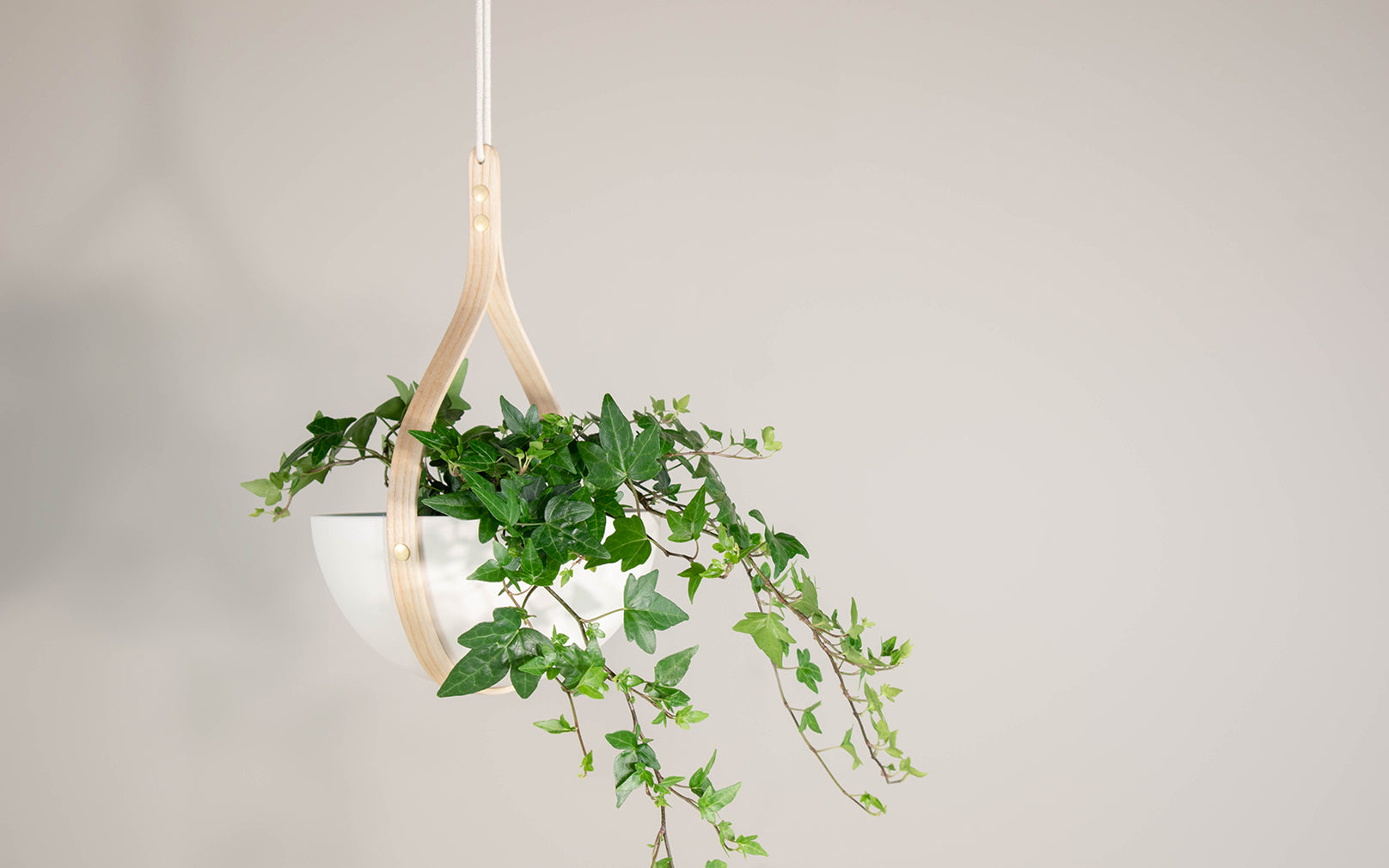 SECONDS - Morvah Small Ceiling Hanging Planter