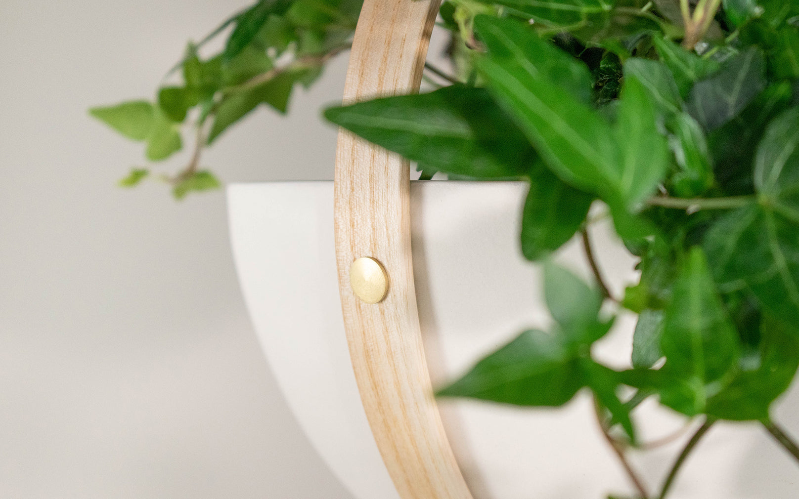 SECONDS - Morvah Small Ceiling Hanging Planter