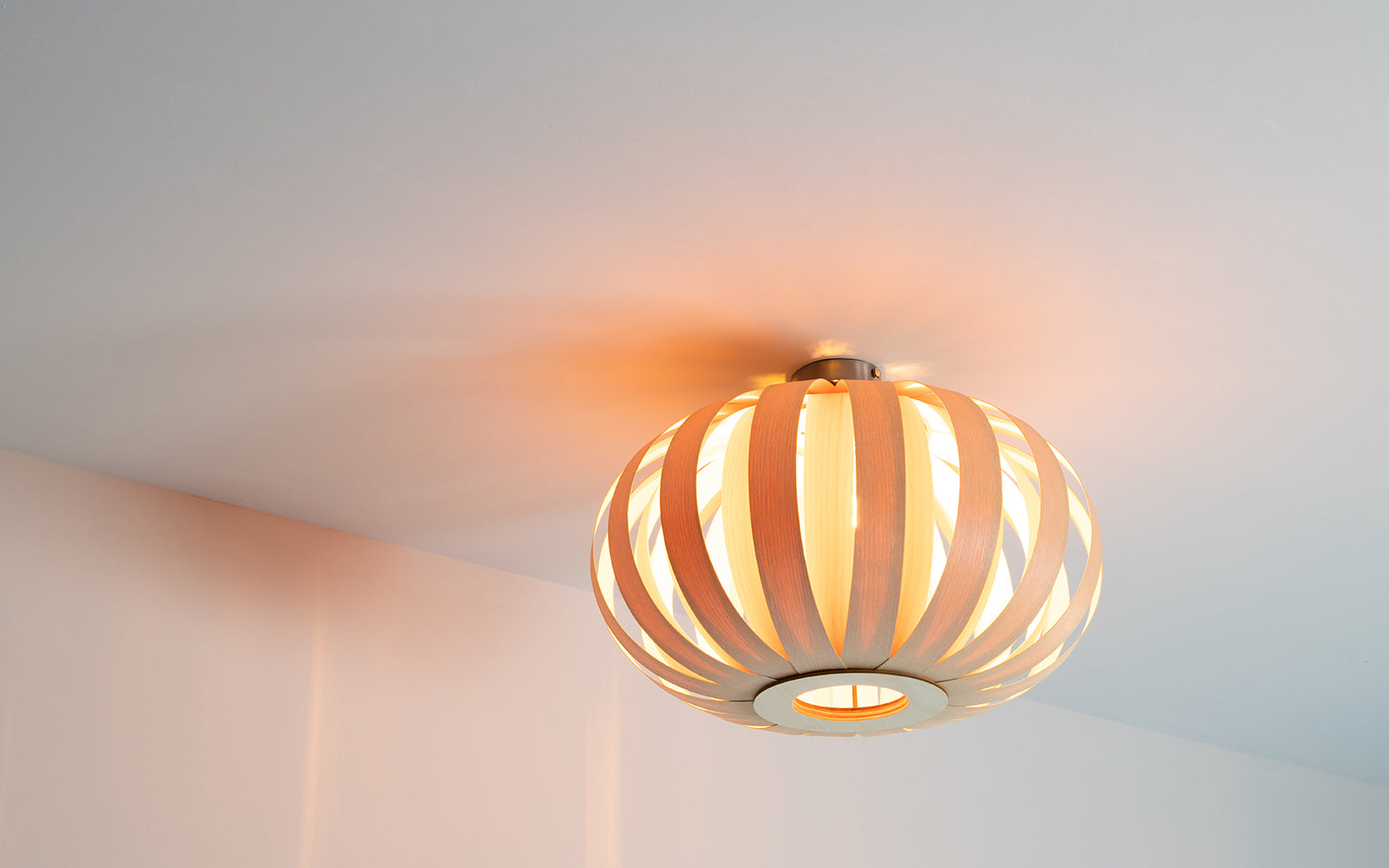 Urchin Flush Ceiling Light