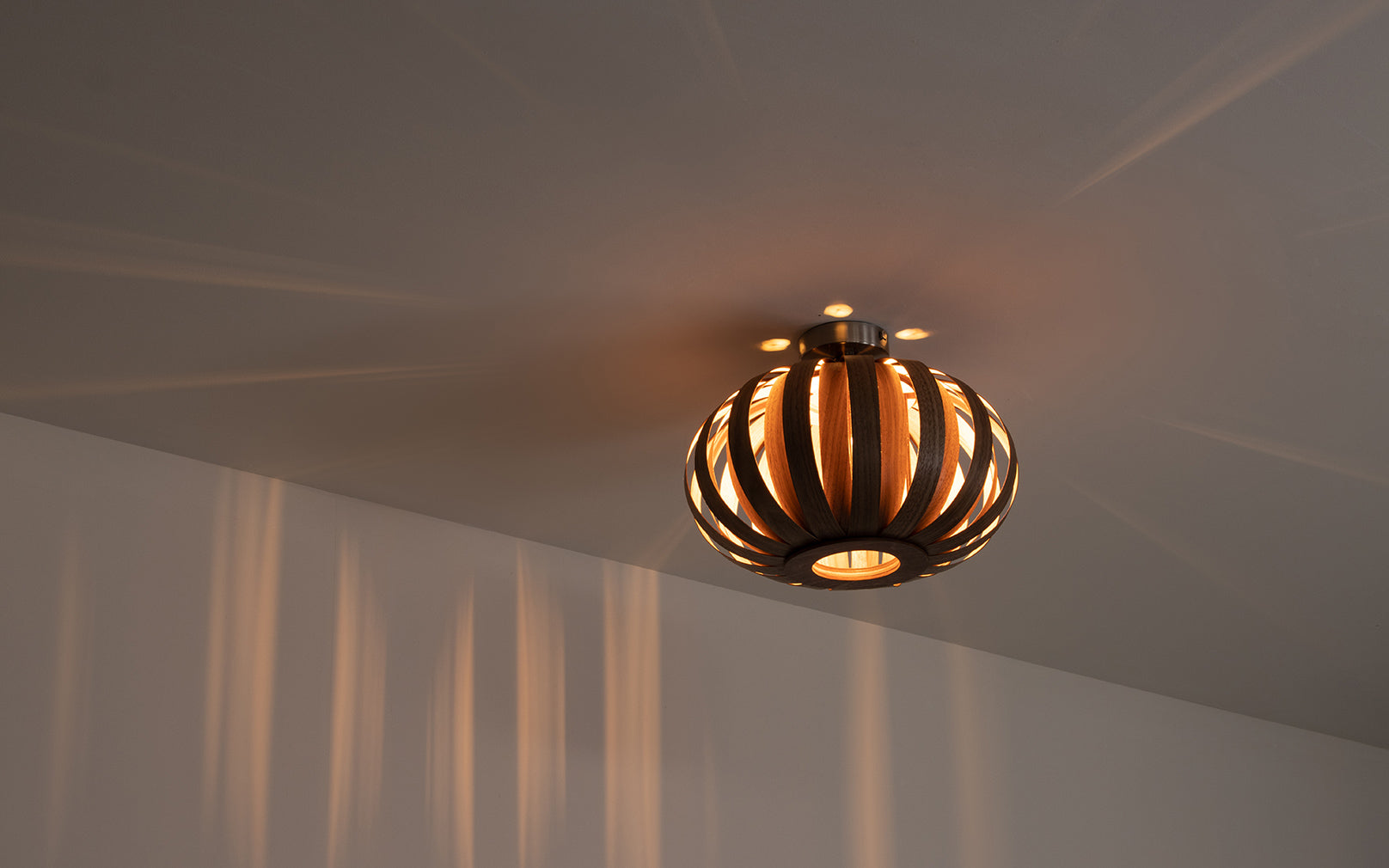 Flush ceiling lights shop bunnings