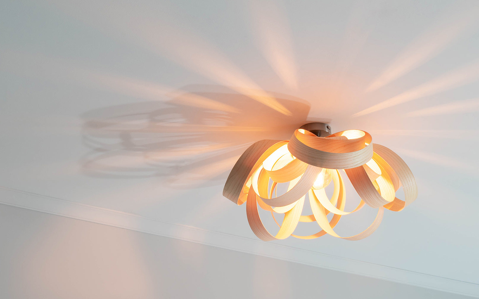 Skipper Flush Ceiling Light