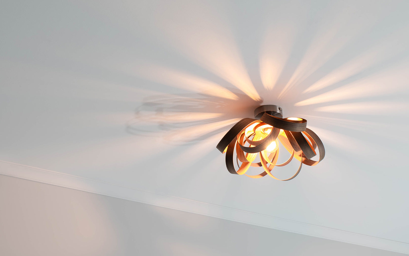 Small flush store ceiling light