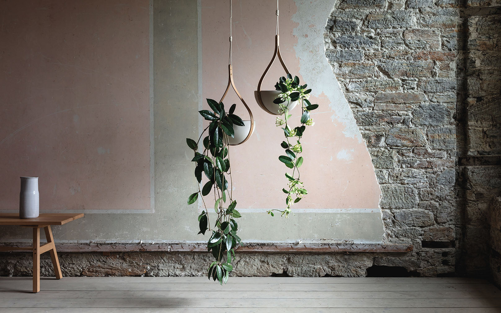 Morvah Ceiling Hanging Planter