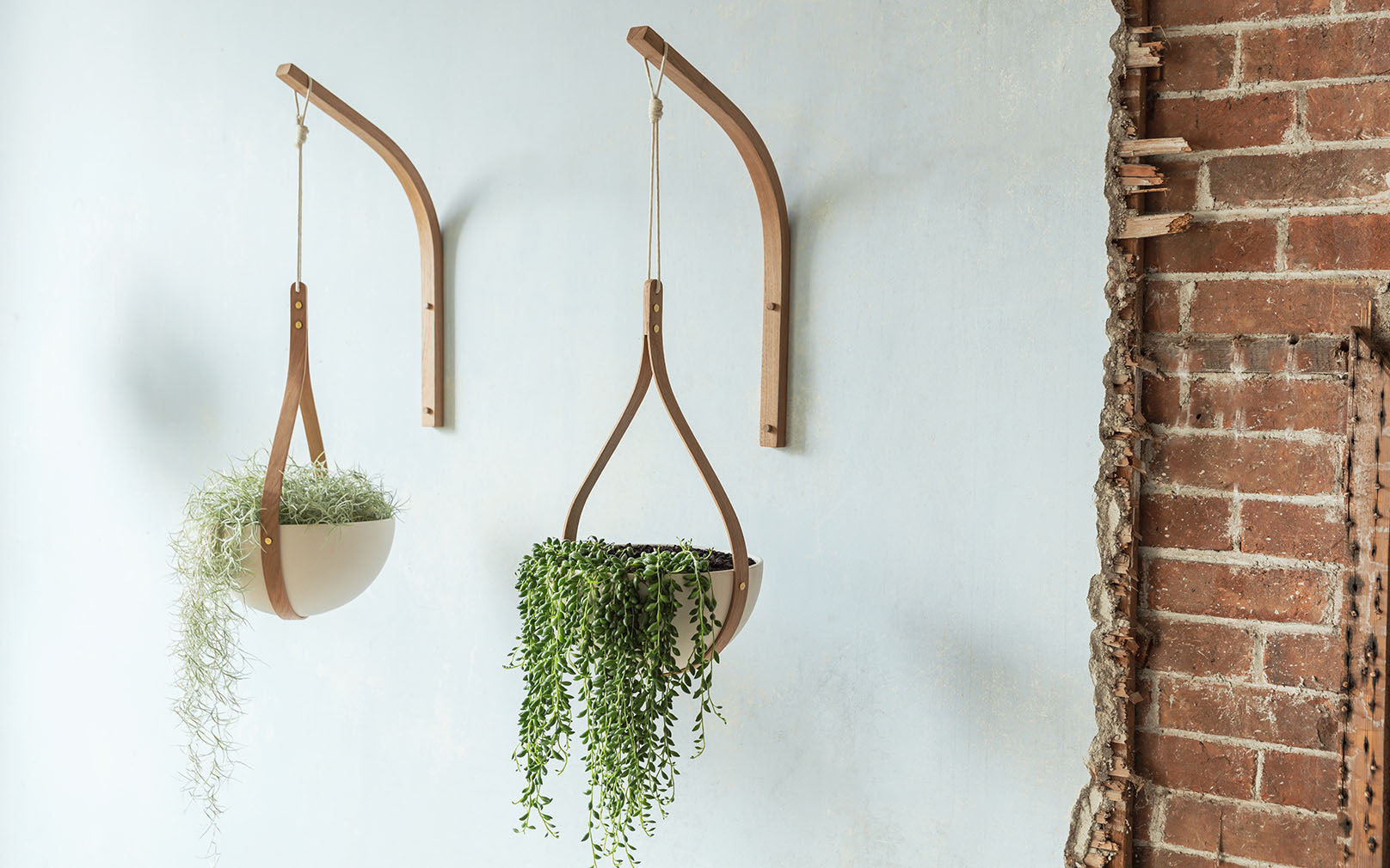 Morvah Wall Hanging Planter